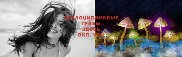 mix Арсеньев